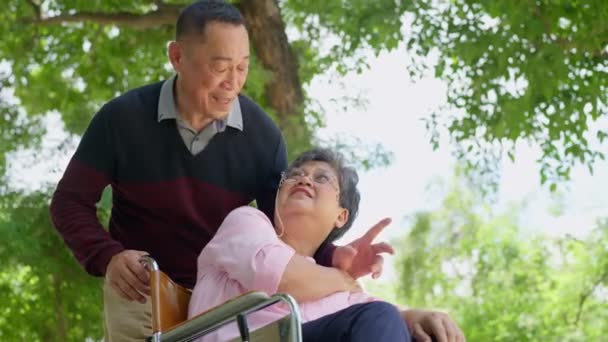 Les couples âgés ou les aidants prennent soin du patient en fauteuil roulant. Concept d'une retraite heureuse avec les soins d'un soignant et de l'épargne et de l'assurance-maladie des aînés, une famille heureuse - Séquence, vidéo