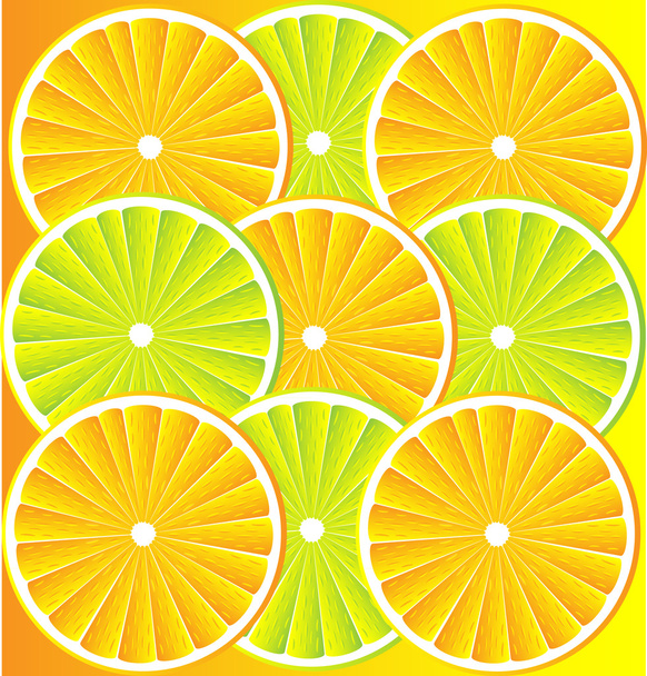 Citrus fruit background vector - Vector, imagen