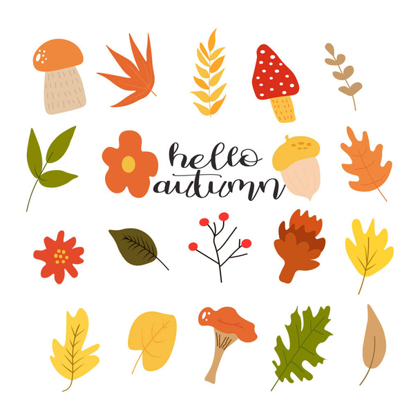 秋の要素セットの背景  - ベクター画像