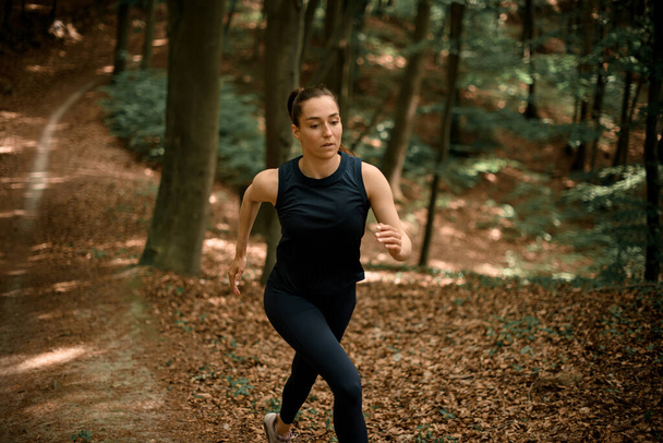 Selective focus of young fit woman running on narrow forest path against tall trees. Exercising outdoors. Outdoor jog. - 写真・画像