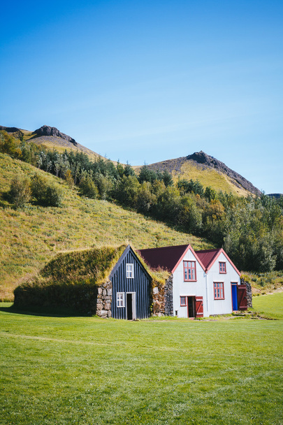 Maisons traditionnelles islandaises avec herbe
 - Photo, image
