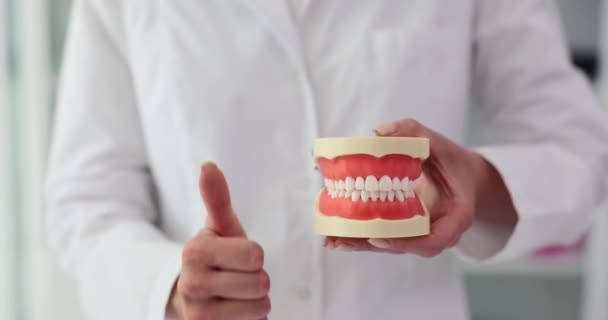 Lo stomatologo in mantello bianco mostra il pollice-su gesto che tiene le ganasce di plastica sane modello in approvazione del trattamento dentale. Denti sani e cavità orale - Filmati, video