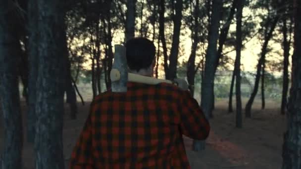 Homme effrayé avec cliveur marche dans les bois le soir - Séquence, vidéo