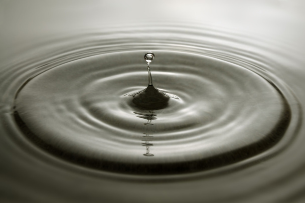 water droplet met grijze achtergrond. - Foto, afbeelding