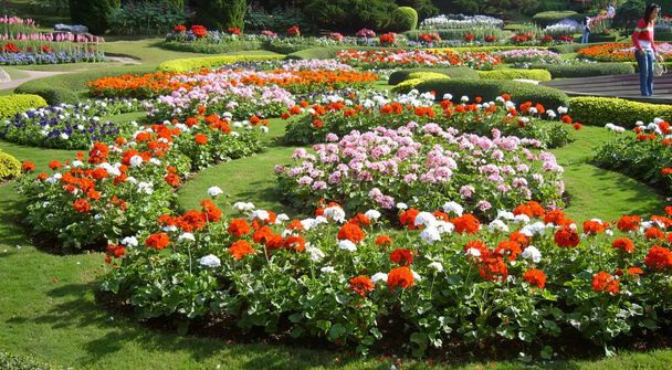 una fotografía de un jardín con un lecho de flores circular en el centro. - Foto, imagen