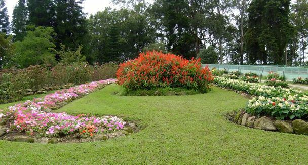 фотографія саду з круглою клумбою і доріжкою. - Фото, зображення