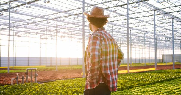 Happy caucasian man standing with hands on hips at modern hydroponic glasshouse of agricultural company. Portrait of smiling male employee looking at camera with green plants on background. - 写真・画像