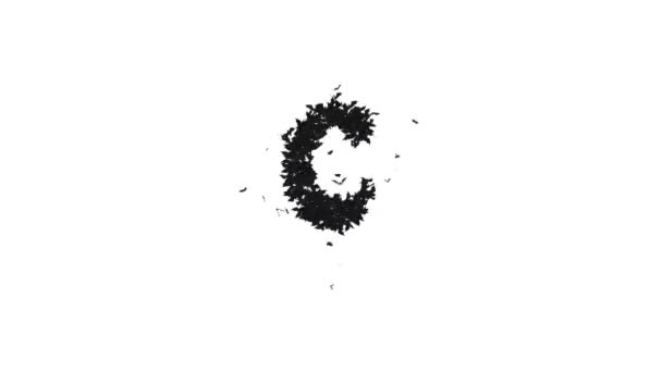 Animated Halloween Typeface Formed Of Flying Bats the Character C with alpha - Footage, Video
