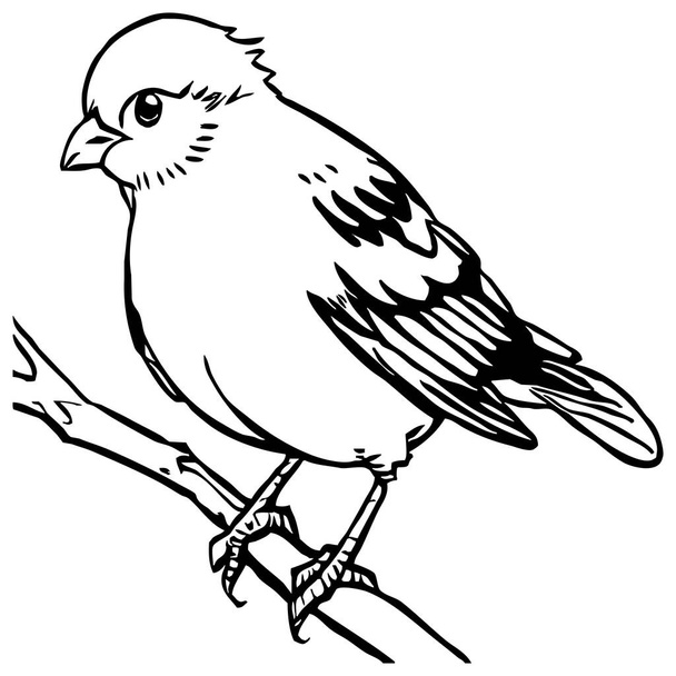 黒い鳥が白い背景に。 動物のラインアート。 グラフィックで使用するためのロゴデザイン. Tシャツプリント,タトゥーデザイン.  - 写真・画像