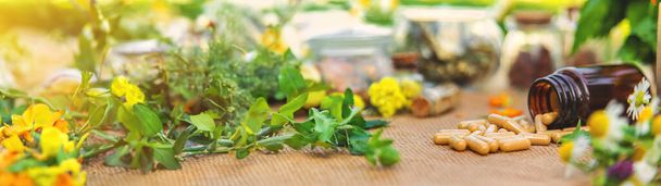 Supplementi et herbes médicinales et fleurs. Concentration sélective. Nature. - Photo, image