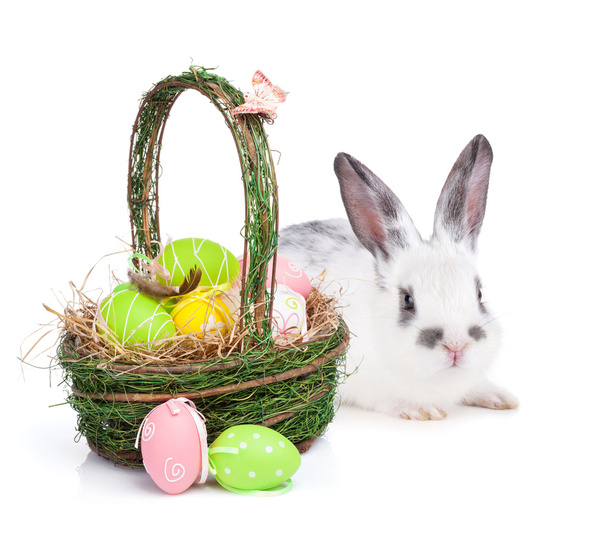 Easter eggs basket and rabbit - Фото, зображення