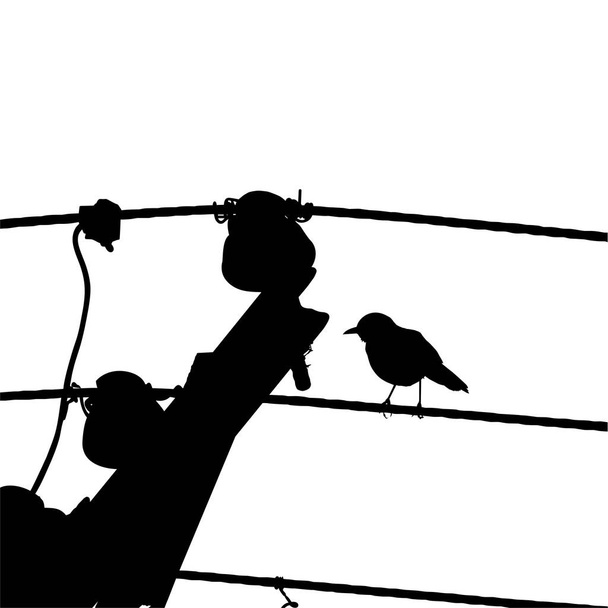 Silueta ptáka usazeného na elektrické drátěné základně na mé fotografii. Vektorová ilustrace - Vektor, obrázek