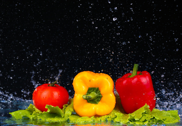 Colored red paprika in water splashes on black background - 写真・画像