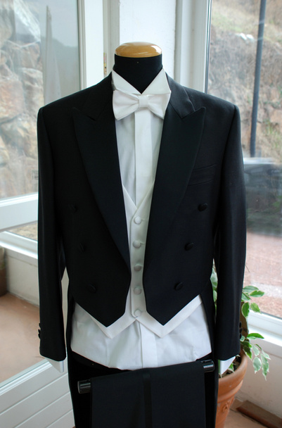 Tuxedo - Foto, afbeelding