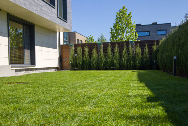Trawnik przed nowoczesnym domem z zieloną trawą i drzewami - Zdjęcie, obraz