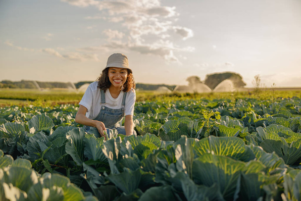 Zemědělka v uniformě pracující během sklizně na zelném poli. Zemědělská činnost  - Fotografie, Obrázek