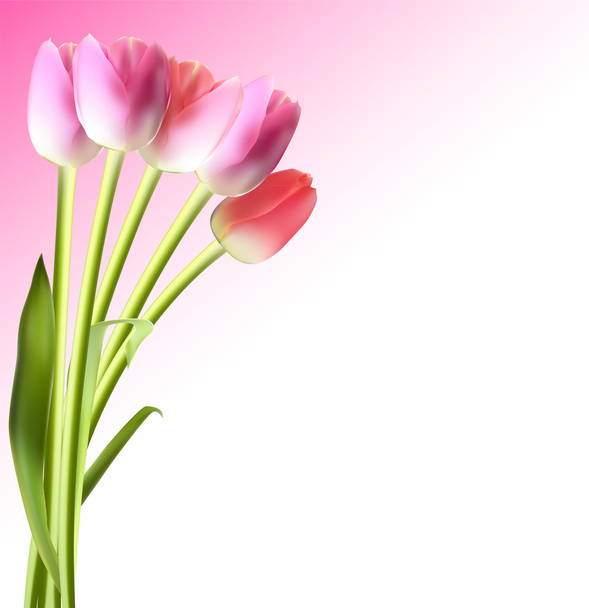 Beautiful Pink Realistic Tulip Background Vector Illustration - Vector, Image