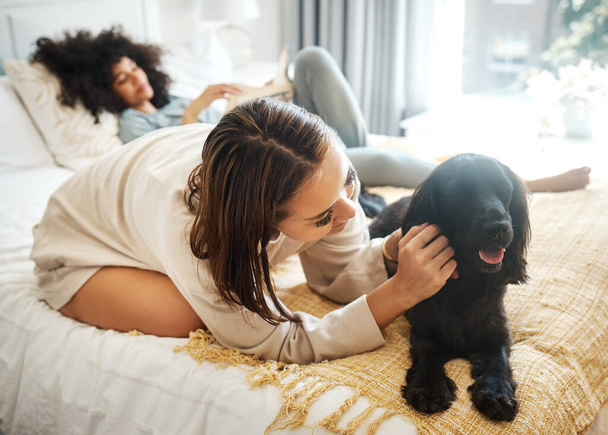 Dog, bedroom and lesbian couple playing in home, morning and relax together in house. Pet, bed and gay women with animal, bonding and having fun in healthy relationship, love connection and care - Foto, afbeelding