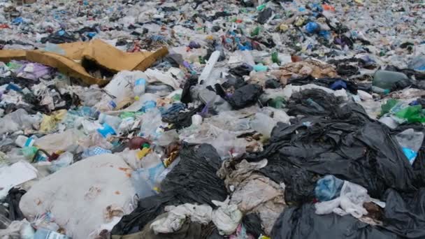 Экологическая катастрофа, токсичные отходы в природе, пластиковая свалка мусора. Закрыть. - Кадры, видео