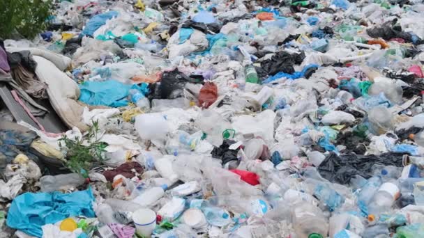 Garrafas de plástico no litoral. Sacos de plástico. Lixo. Desastre ecológico, salvar o planeta. Alterações climáticas aquecimento global - Filmagem, Vídeo