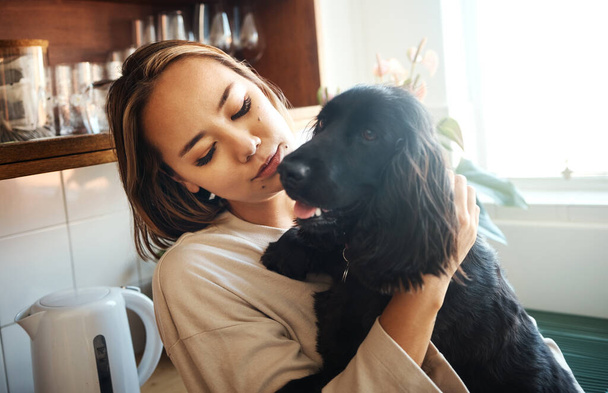 Love, hug and woman with a dog in home kitchen to relax and play with animal. Pet owner, happiness and asian person playing with companion, care and wellness or friendship in cozy apartment. - Φωτογραφία, εικόνα