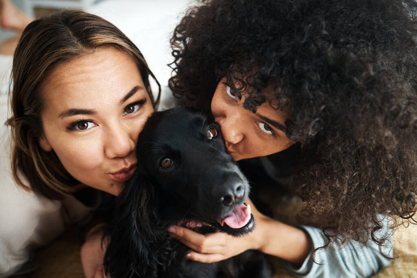 Dog, portrait and women with kiss on sofa in living room of home for puppy, love and happiness indoor. Labrador, animal and people together on couch with cuddling and care for bonding and loyalty. - Photo, Image