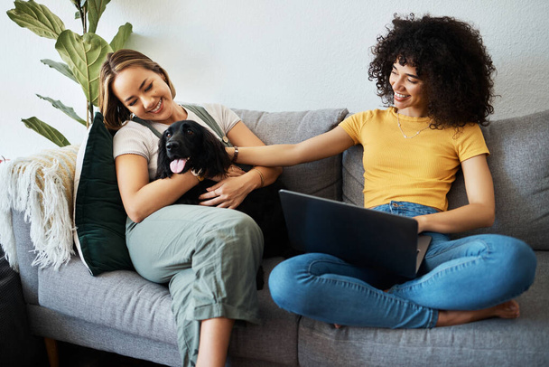 Dog, home living room and happy couple of friends bonding, connect and smile for animal love, support or care. LGBTQ, happiness or gay people, bisexual partner or lesbian women relax with pet on sofa. - Photo, Image