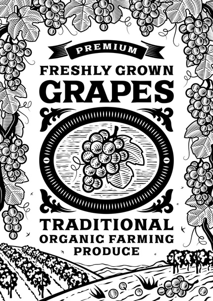 Retro grapes poster black and white - Διάνυσμα, εικόνα