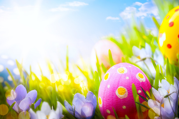 Coloridos huevos de Pascua decorados con flores en la hierba en azul
 - Foto, imagen