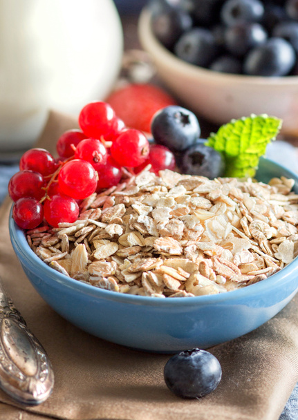 Rolled oats in a bowl with berries and milk - Photo, Image