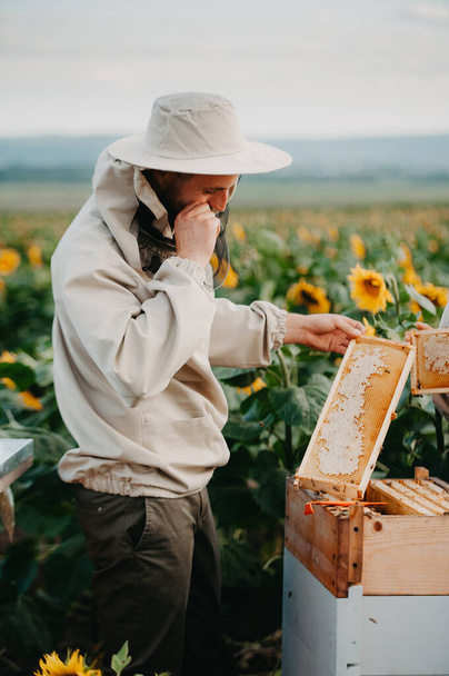 Un joven apicultor positivo trabaja en una granja produciendo miel en girasoles al atardecer. Concepto de producción - Foto, imagen