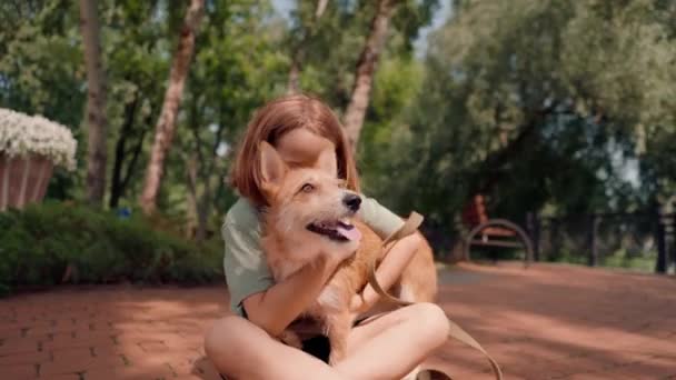 una niña pequeña en un paseo por el parque de la ciudad con su perro peludo rojo favorito acariciar perro y preocuparse por él amistad - Metraje, vídeo