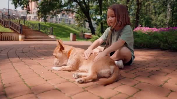 una niña pequeña en un paseo por el parque de la ciudad con su perro peludo rojo favorito acariciar perro y preocuparse por él amistad - Metraje, vídeo