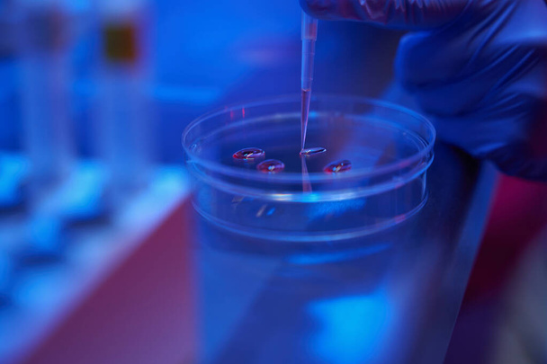 El hombre con guantes protectores trabaja con un biomaterial en una placa Petri, utilizando un conjunto de micromanipuladores - Foto, imagen