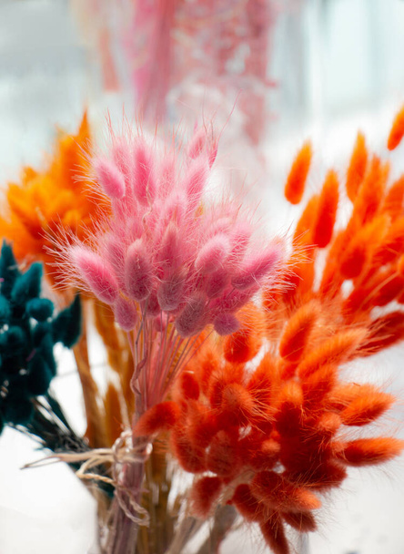 Suszony kolorowy kwiat do celów doceracji - Zdjęcie, obraz