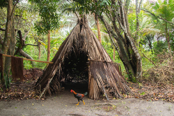 típica casa indígena en el sur de Bahía Brasil. - Foto, Imagen