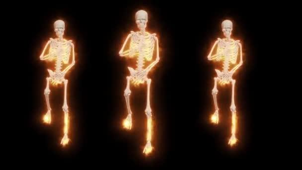 Feu dansant squelettes 3D. Squelettes 3D Fanny Dance Animation. Squelette danse 3D. Danse du feu. - Séquence, vidéo