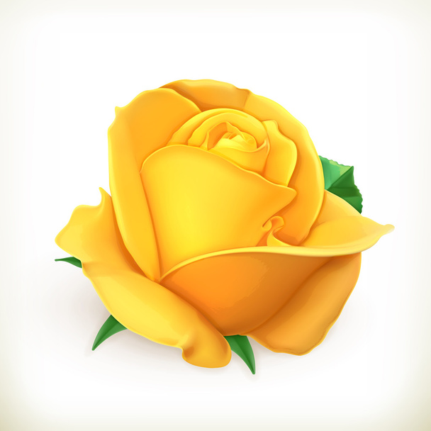 Rose flower, vector illustration - Vetor, Imagem