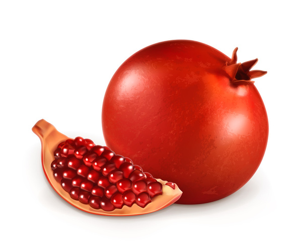 Pomegranate, vector illustration - Vecteur, image