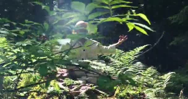 Vrouwelijke Persoon Ontspannen Buiten in Vreedzaam Groen Landschap In Harmonie. Hoge kwaliteit 4k beeldmateriaal - Video