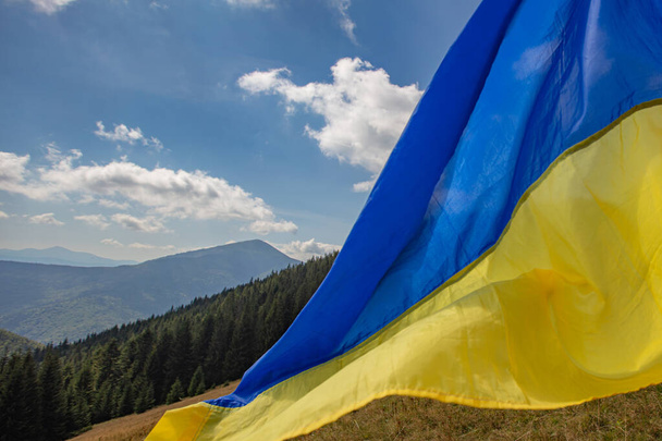 Ουκρανική εθνική σημαία μπροστά από τα Καρπάθια βουνά - Φωτογραφία, εικόνα