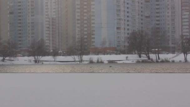 Киев, Украина. 1 января 2021 года Снег падает на озеро, речное побережье Снежинки падают на землю в морозный день. Снежный день в городе, жилые дома на горизонте Холодная зима - Кадры, видео