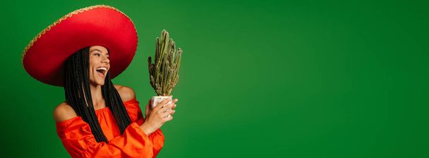 Beautiful young Mexican woman in Sombrero looking at cactus and smiling against green background - Photo, image