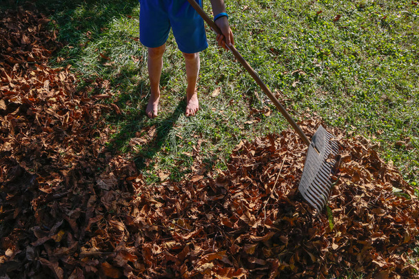 Bahçedeki kuru yaprakları temizliyorum. Plastik bir tırmık, insan ayağı. Çimlerde insan bacakları, vitiligo. Bir dağ dolusu yaprak, çimlerin üzerine düşen kırmızı sonbahar yaprakları. Yaprak tırmığıyla yaprakları tırmıklama işlemi. - Fotoğraf, Görsel