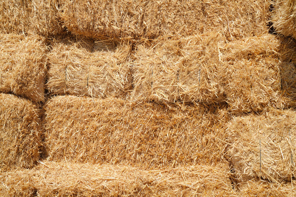 Stacked hay bales, close-up  - Photo, Image