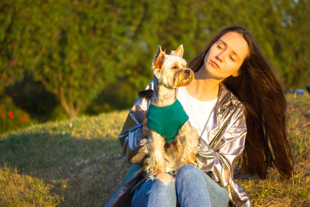 Szczęśliwa ładna dziewczyna siedząca na trawniku z małym psem Yorkshire Terrier w słoneczną wiosnę, jesienny dzień. Ludzie ze zwierzętami na zewnątrz. Stylowa młoda, jasnowłosa brunetka relaksująca się w parku. - Zdjęcie, obraz