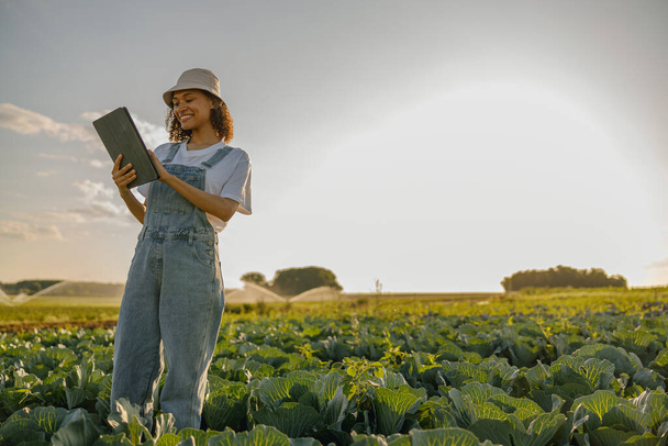 Üniformalı, dijital tabletli profesyonel kadın tarım uzmanı sahada çalışıyor. Yüksek kalite fotoğraf - Fotoğraf, Görsel
