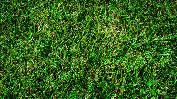 Textur Hintergrund von grünem Gras mit unebenen Formen - Foto, Bild