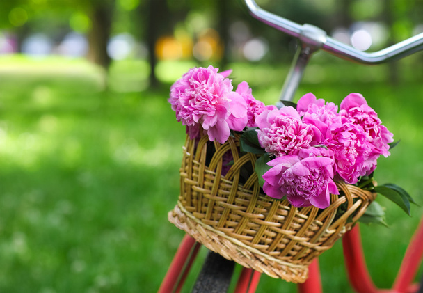 Vintage kerékpár kosár, bazsarózsa virágok - Fotó, kép
