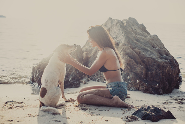 Retrato de bela jovem feliz sentada jogando seu cão de estimação por do sol na praia na costa do mar crepúsculo céu como fundo
 - Foto, Imagem